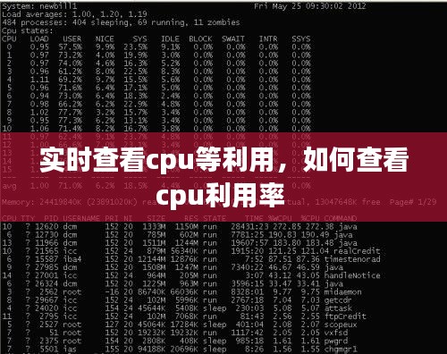 实时查看cpu等利用，如何查看cpu利用率 