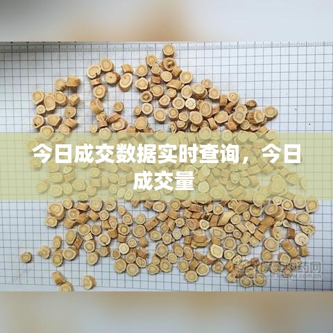 今日成交数据实时查询，今日成交量 