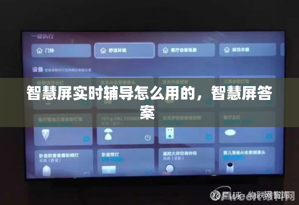 智慧屏实时辅导怎么用的，智慧屏答案 