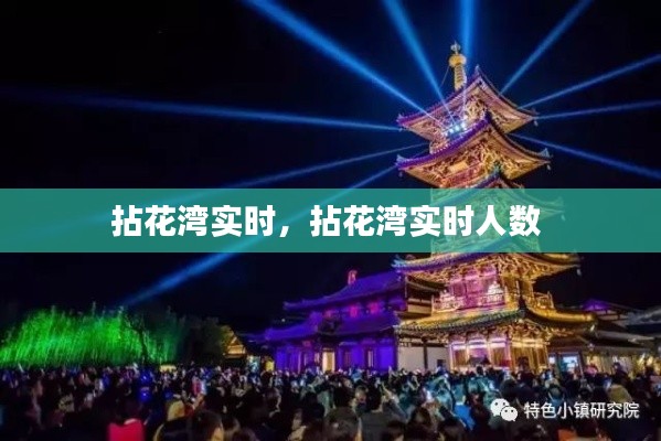 拈花湾实时，拈花湾实时人数 