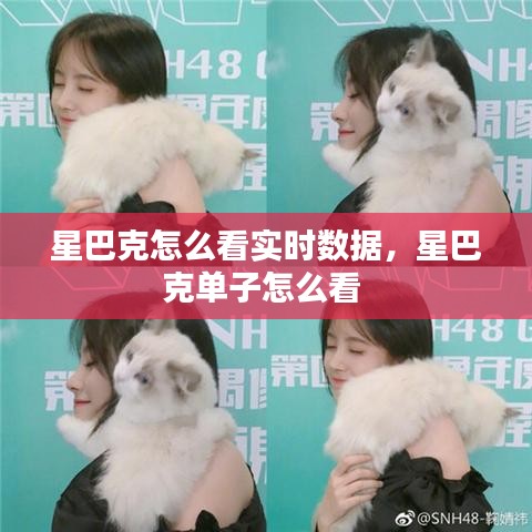星巴克怎么看实时数据，星巴克单子怎么看 