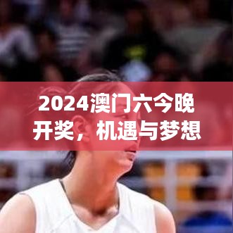 2024澳门六今晚开奖，机遇与梦想相随
