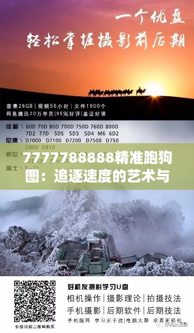 7777788888精准跑狗图：追逐速度的艺术与哲学