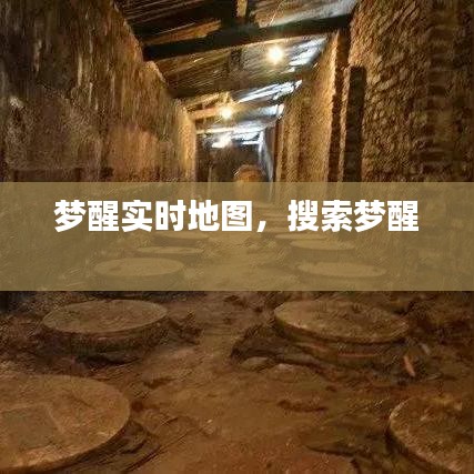 梦醒实时地图，搜索梦醒 
