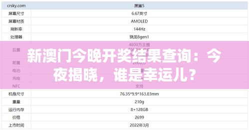 新澳门今晚开奖结果查询：今夜揭晓，谁是幸运儿？