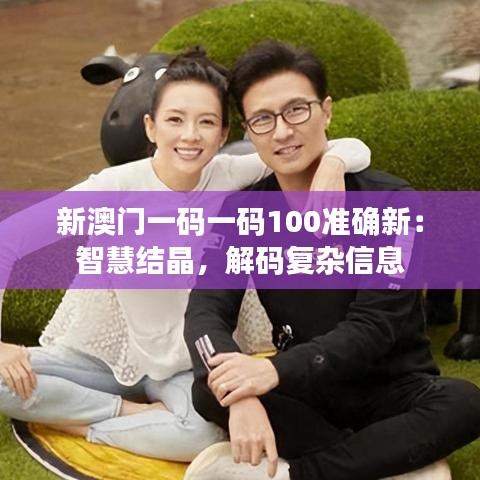 新澳门一码一码100准确新：智慧结晶，解码复杂信息