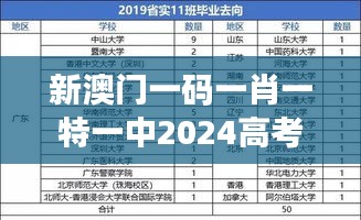 新澳门一码一肖一特一中2024高考：多元文化教育的影响