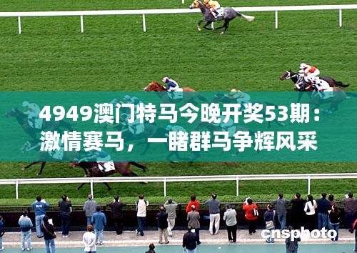 4949澳门特马今晚开奖53期：激情赛马，一睹群马争辉风采