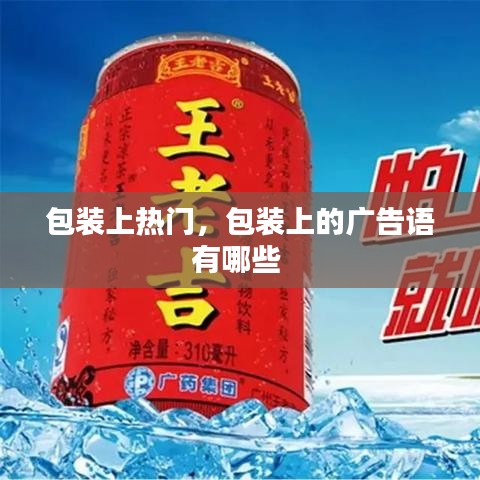 秀外慧中 第3页