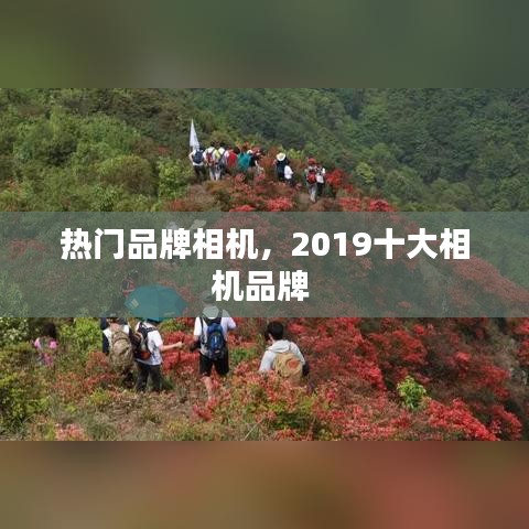 热门品牌相机，2019十大相机品牌 