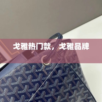 戈雅热门款，戈雅品牌 