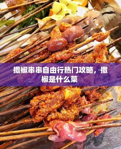 撒椒串串自由行热门攻略，撒椒是什么菜 