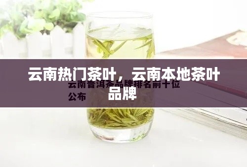 云南热门茶叶，云南本地茶叶品牌 