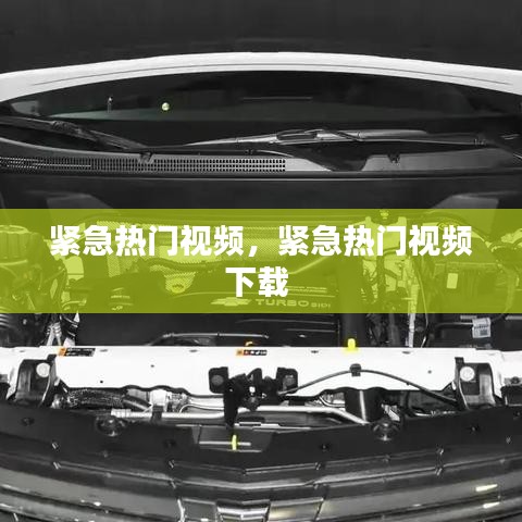 紧急热门视频，紧急热门视频下载 