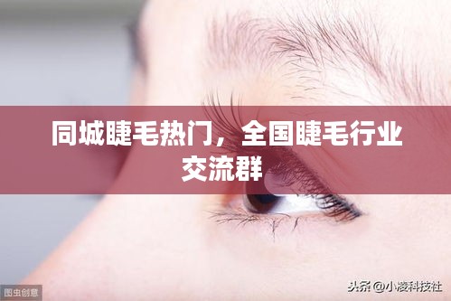 同城睫毛热门，全国睫毛行业交流群 