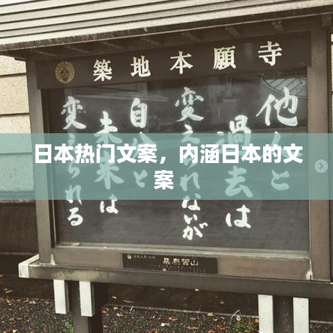 逆风飞扬 第3页
