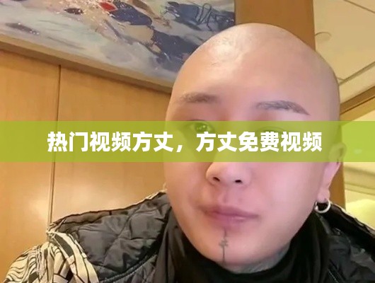 热门视频方丈，方丈免费视频 