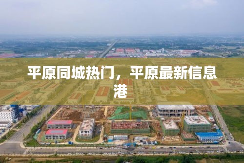 平原同城热门，平原最新信息港 