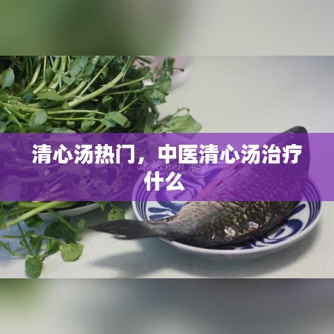清心汤热门，中医清心汤治疗什么 