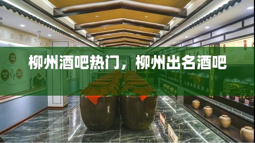 柳州酒吧热门，柳州出名酒吧 