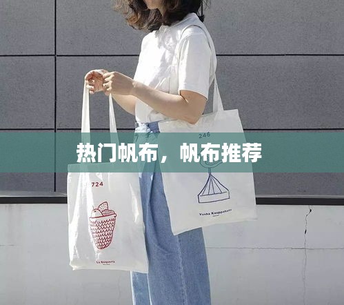 热门帆布，帆布推荐 