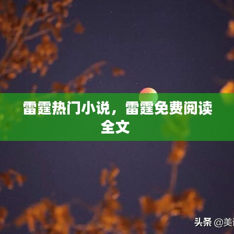 候鸟南飞 第3页