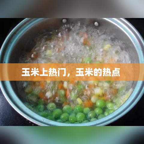 七嘴八张 第3页