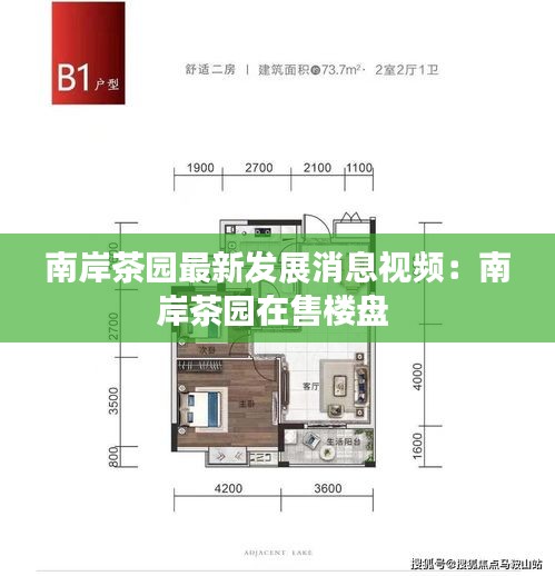 南岸茶园最新发展消息视频：南岸茶园在售楼盘 