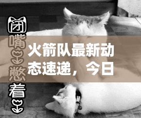 火箭队最新动态速递，今日新闻一览