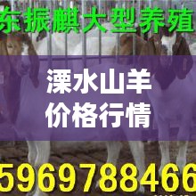 溧水山羊价格行情最新今天：溧阳羊肉价格 