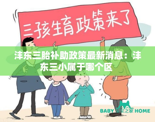 沣东三胎补助政策最新消息：沣东三小属于哪个区 
