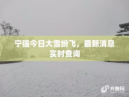 宁强今日大雪纷飞，最新消息实时查询