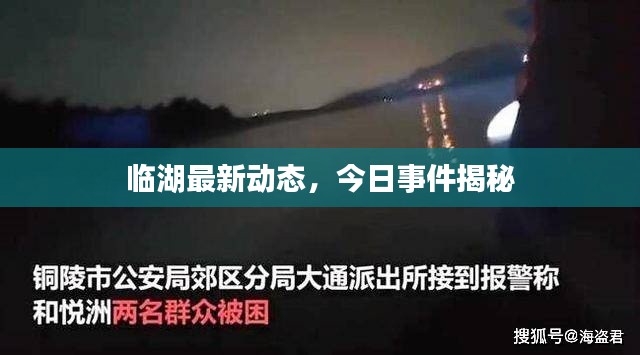 临湖最新动态，今日事件揭秘
