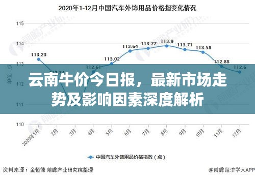 云南牛价今日报，最新市场走势及影响因素深度解析