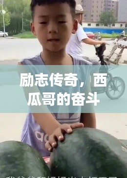 励志传奇，西瓜哥的奋斗故事！