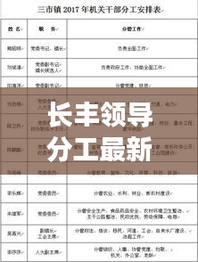 长丰领导分工最新情况表：长丰县政府最新领导班子 