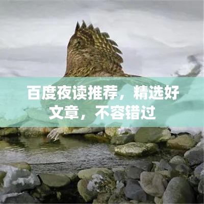 百度夜读推荐，精选好文章，不容错过