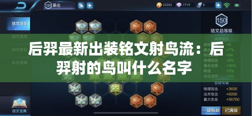 后羿最新出装铭文射鸟流：后羿射的鸟叫什么名字 