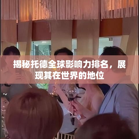 揭秘托德全球影响力排名，展现其在世界的地位