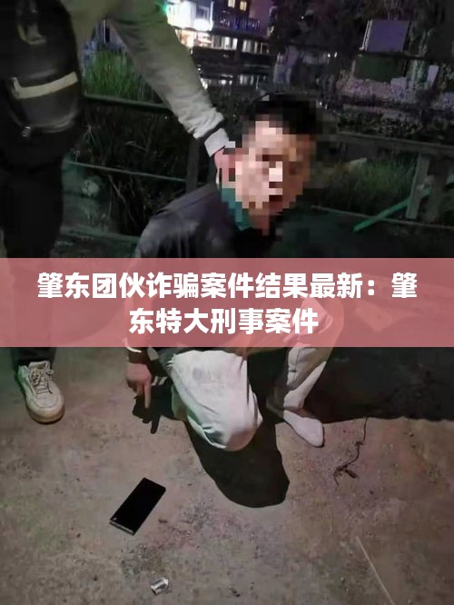 肇东团伙诈骗案件结果最新：肇东特大刑事案件 