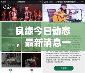 良缘今日动态，最新消息一网打尽！
