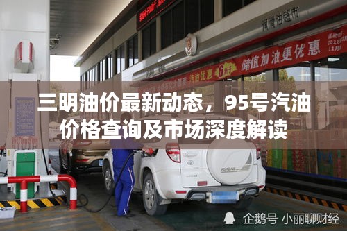 三明油价最新动态，95号汽油价格查询及市场深度解读