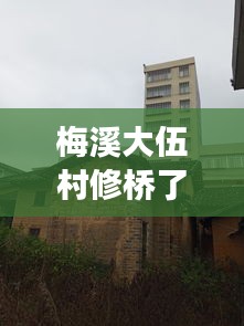 梅溪大伍村修桥了吗最新消息：梅溪大伍村修桥了吗最新消息图片 