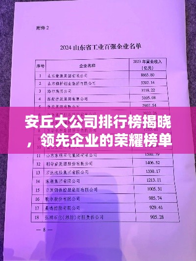 安丘大公司排行榜揭晓，领先企业的荣耀榜单
