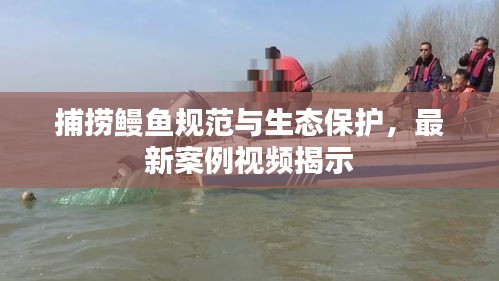 捕捞鳗鱼规范与生态保护，最新案例视频揭示
