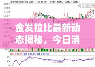 金发拉比最新动态揭秘，今日消息一网打尽！