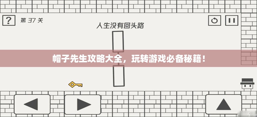 帽子先生攻略大全，玩转游戏必备秘籍！