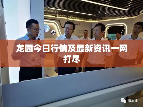 龙园今日行情及最新资讯一网打尽
