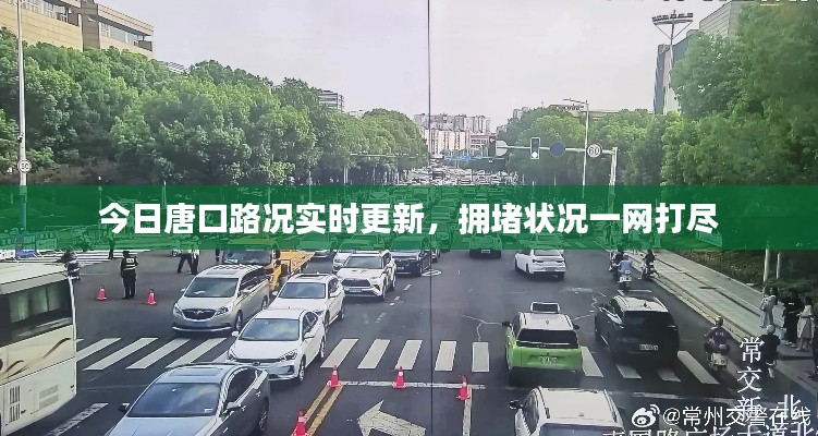 富贵逼人 第2页