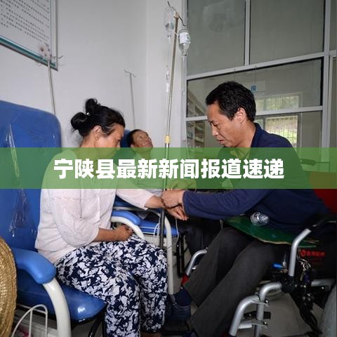 宁陕县最新新闻报道速递